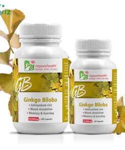 Viên uống bổ não Ginkgo Biloba NZPureHealth: Giá bao nhiêu? Mua ở đâu?