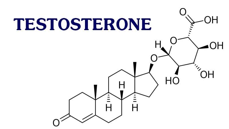 Nội tiết tố nam testosterone có cấu trúc đơn giản, đóng vai trò rất quan trọng ở nam giới nhất là hệ thống nội tiết, hệ thống sinh sản,..