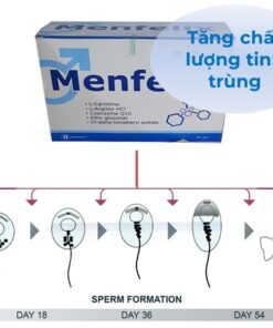 Menfelix: Điều Trị Vô Sinh Hiếm Muộn Tối Ưu