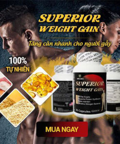 Superior Weight Gain: Công Dụng, Cách Dùng, Giá Bán, Mua Ở Đâu?