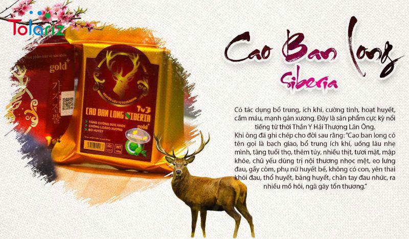 Cao Ban Long Siberia Hỗ Trợ Nâng Tầm Sung Mãnh Cao Ban Long Siberia Hỗ Trợ Nâng Tầm Sung Mãnh Phái Mạnh
