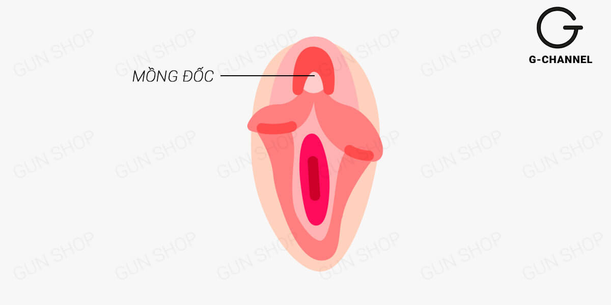 Mồng đốc là gì?