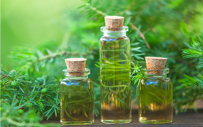 Tinh dầu tràm có chứa các chất kháng khuẩn cực mạnh giúp chống viêm nhiễm, làm dịu đi các khu vực bị tổn thương và sự kích ứng