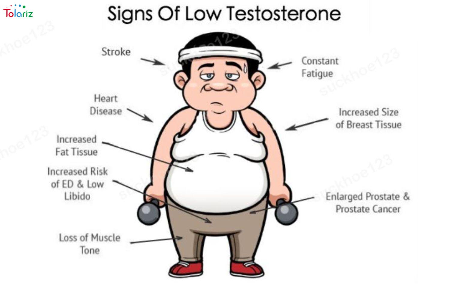 Biểu đồ nồng độ testosterone suy giảm theo lứa tuổi ở phái mạnh bạo